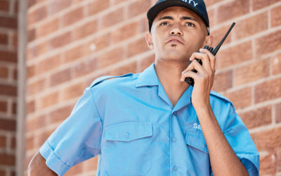 Shopping Mall Security Guards Los Angeles