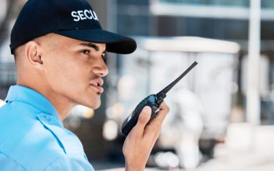 Security Guards For Shopping Malls in Los Angeles California